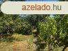 Elad ptsi telek Miskolcon, az Alms utcban ? egyedlll