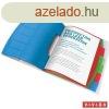 Elrendez, A4, 6 rszes, manyag, ESSELTE "Vivida"