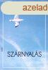 Szrnyals - Anthony De Mello