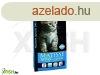 Matisse kitten 10kg