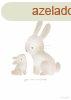Little Dutch A3 poszter - Baby Bunny