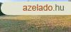 Elad telek Pty, 	Mzeshegy