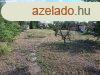Elad telek Szada, 	Rkczi utca