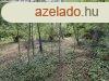 Elad Balatonederics belterletn egy ptsi telek