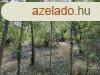 Elad Balatonederics belterletn egy ptsi telek
