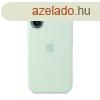 Apple iPhone 16 Silicone Case with MagSafe Aquamarine (Seaso