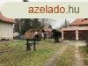 Kiad csaldi hz, Kecskemt Villanegyedben