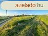 Elad Telek, Balatonendrd