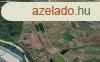 7 hektr term szl Srazsadny mellett Tokaj-hegyaljn