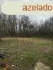 Debrecen tanya elad