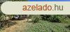 Nagykrsn csaldi hz elad!