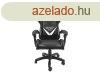 FURY Avenger L Gaming Chair Black/White