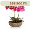 Dekoratv morchidea kaspban ? rzsaszn 63935018