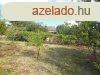 Elad Zalaegerszegen egy rkpanorms ptsi telek