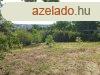 Elad Zalaegerszegen egy rkpanorms ptsi telek