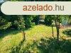 Egy telek Szkesfehrvron, ahol a jv otthona szletik