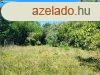 Egy telek Szkesfehrvron, ahol a jv otthona szletik