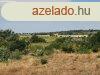 Elad ptsi telek Polgrdi kzpontjban