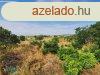 Elad ptsi telek Polgrdi kzpontjban