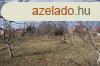 Elad, tbb lehetsget is magba rejt csaldi hz - Szkes