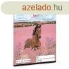 Fzet vonalas ARS UNA A/5 32 lapos 16-32 2. osztlyos Wild A