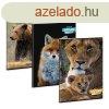 Fzet vonalas ARS UNA A/4 40 lapos Extra kapcsos Spirit Of N