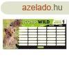 rarend ARS UNA egylapos ktoldalas Icons of the Wild-Lions