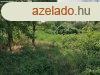 ELAD! PTSI TELEK SZLSGYRKBEN! - Szlsgyrk