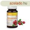 Vitaking Tzegfonya 504mg 90 kapszula