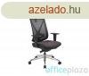 ANTARES MIRO STANDARD irodai szk