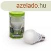 Led izz