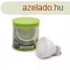 Led izz