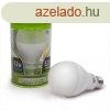 Led izz