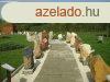 Elad 21000 nm-es  Tpiszele Sziget utca 