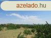 Elad telek Pkozd, 	Pkozdon