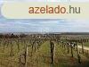 Elad telek Sukor, 	Cscsoshegyi t