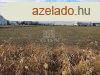 Elad ipari ingatlan Szigetszentmikls, 	Leshegyi t