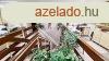 Egszsggyi szolgltatsnak alkalmas zlet!