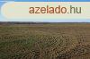 Isaszegen sznt elad
