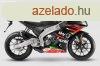 Elad j Aprilia RS 125 GP Replica E5 motor