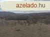 Hatalmas panorms telek Kerekiben elad!