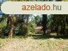 Fonydon,Balatontl 100 m-re,kivl adottsg ptsi telek 