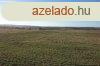 Isaszegen szntfld elad