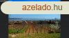 Llegzetelllt panormval nyaral elad Balatonalmdiban!