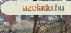 Lbnyben elad telephely a cgednek! 