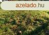 Arnyos mret telek elad Balatontl 15 Km-re! - Kard