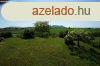 Panorms csaldi hz - Aszf