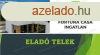 Kiskunflegyhza kzpontjban elad telek