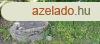 ELAD KTHELYI PARKOS PTSI TELEK - Kthely