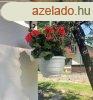 Elad 50m2-es Nyaral, Dmsd